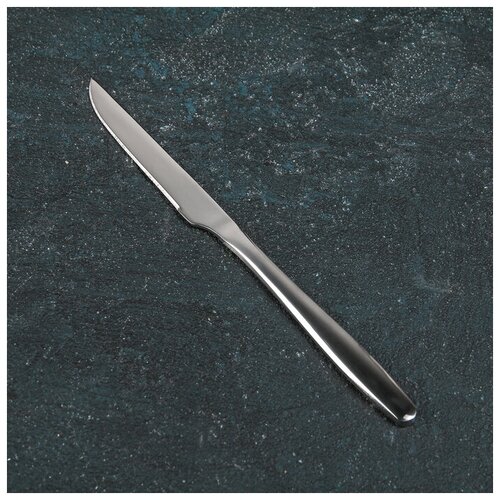 Нож для фруктов из нержавеющей стали «Милано», h=23 см, толщина 5 мм, цвет серебряный