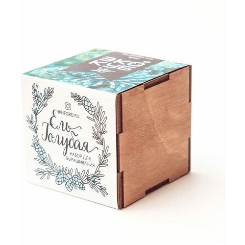 Набор для выращивания 
