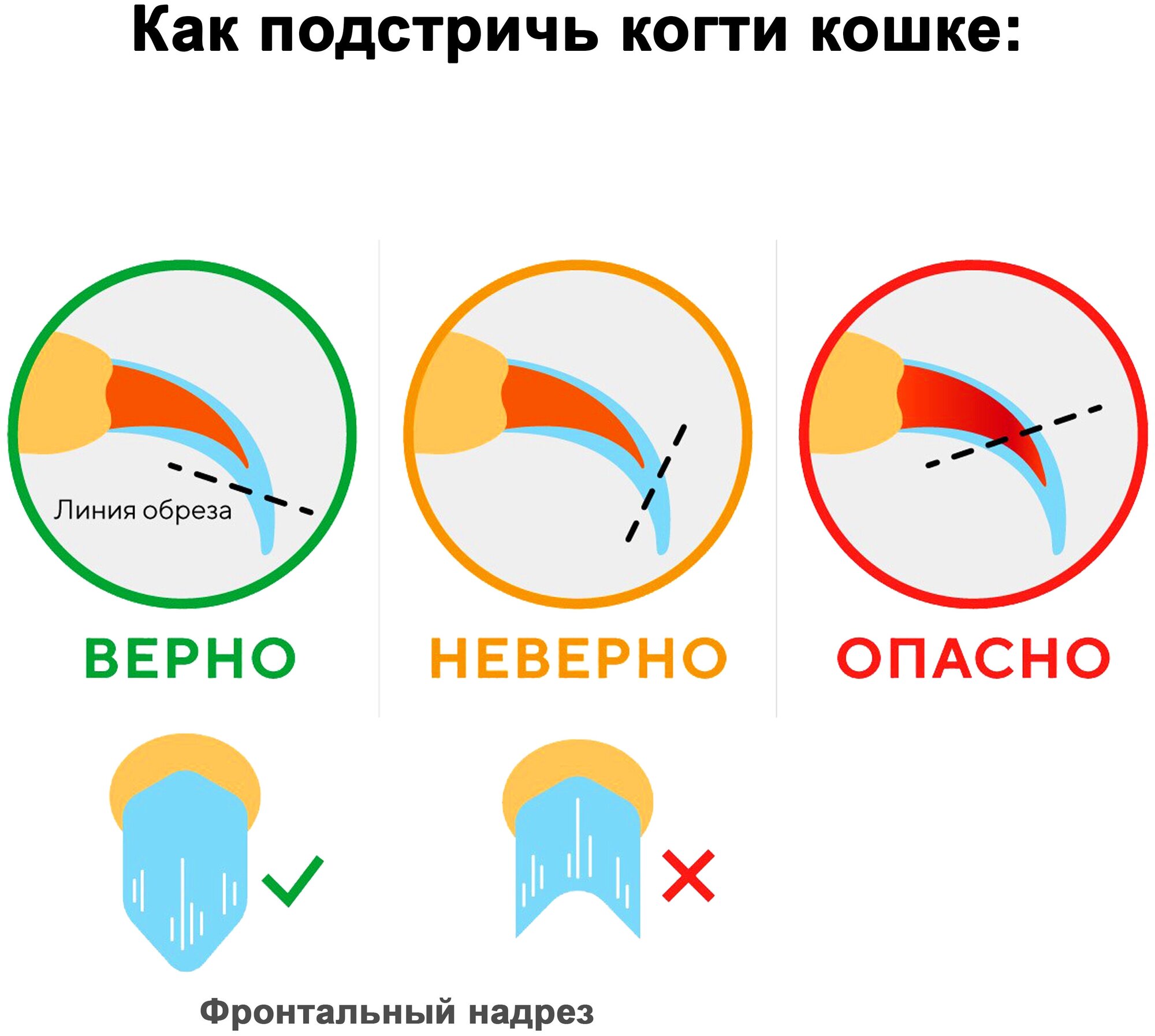 Когтерез для кошек, собак, кроликов (малый) - фотография № 7