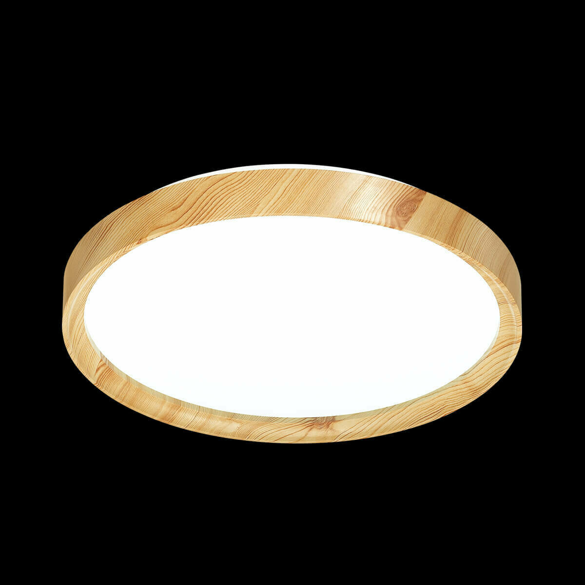 Настенно-потолочный светильник Sonex Woodi 3019/EL Arte Lamp - фото №2