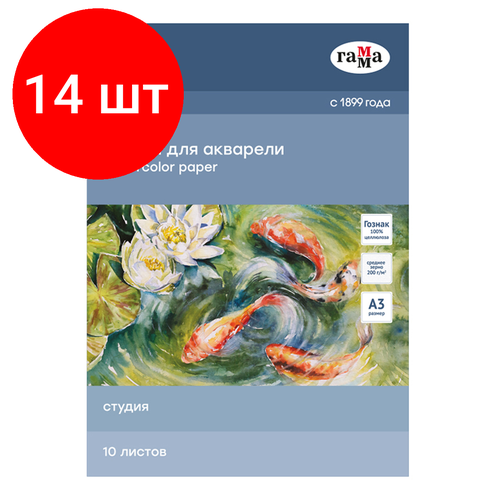 Комплект 14 шт, Папка для акварели, 10л, А3 Гамма Студия, 200г/м2, среднее зерно