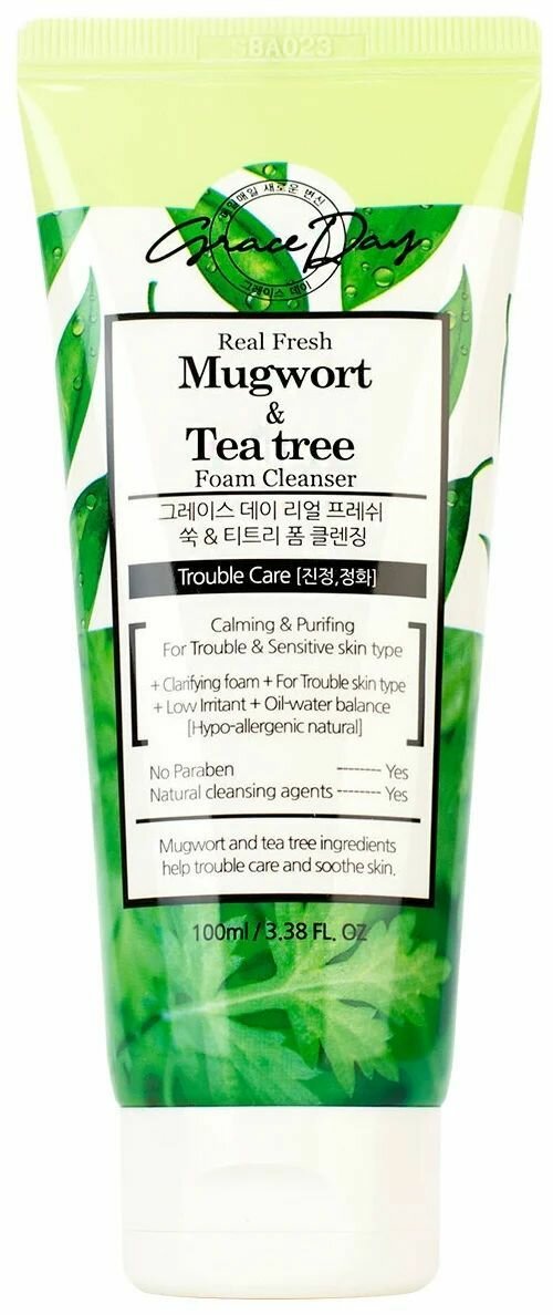 Grace Day / Пенка с экстрактами полыни и чайного дереваReal Fresh Mugwort & Tea Tree Foam Cleanser