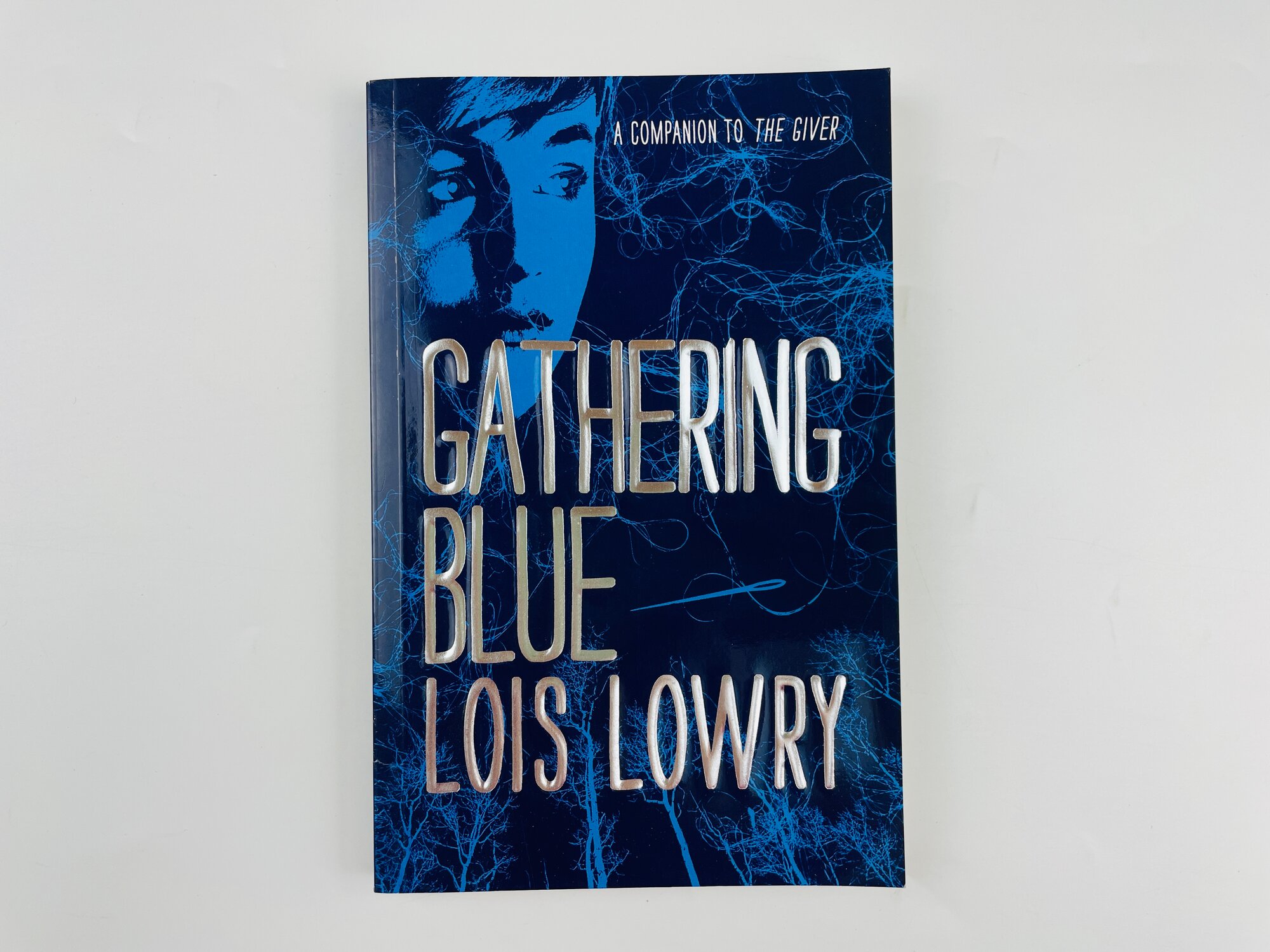Книга Gathering Blue (Lois Lowry) - фото №6