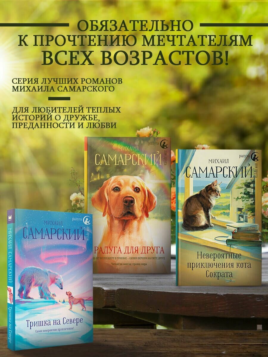 Корабельные приключения кота Сократа - фото №9