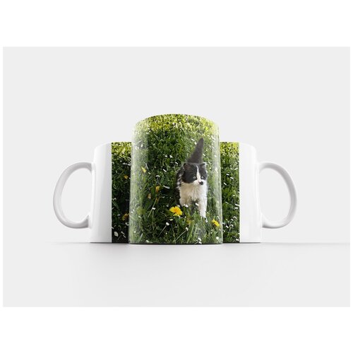 фото Кружка "котенок, черное и белое, млекопитающее" 320 мл lotsprints