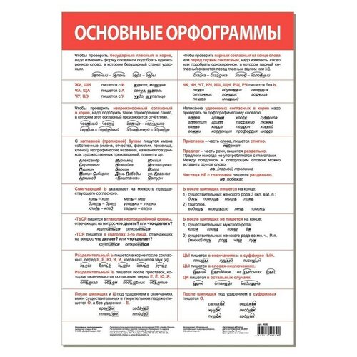 Обучающий плакат Основные орфограммы русский язык самые трудные орфограммы