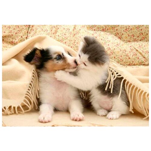 Алмазная мозаика 