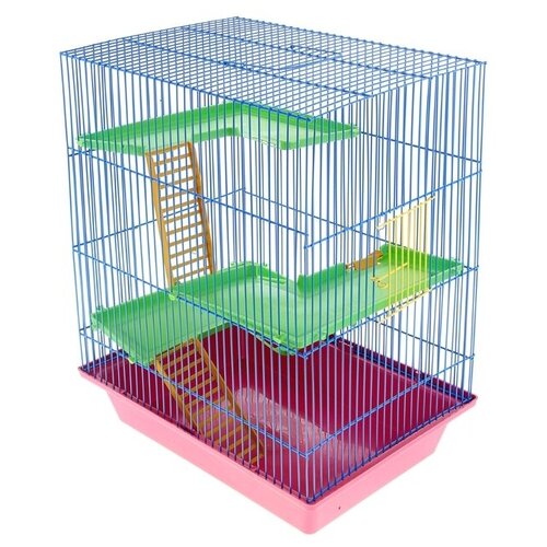 Клетка для грызунов Гризли 4 с пластиковыми полками и лесенками, 41 х 30 х 52 см, микс./В упаковке шт: 1