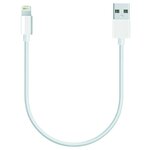 Зарядка для iPhone / provoDA! / Кабель 0.2 м Короткий / Провод Зарядки для iPhone 5-13 и iPad USB - Lightning - изображение