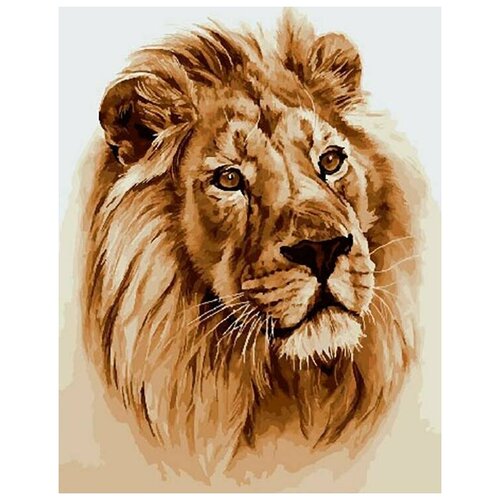 Картина по номерам Портрет льва, 40x50 см