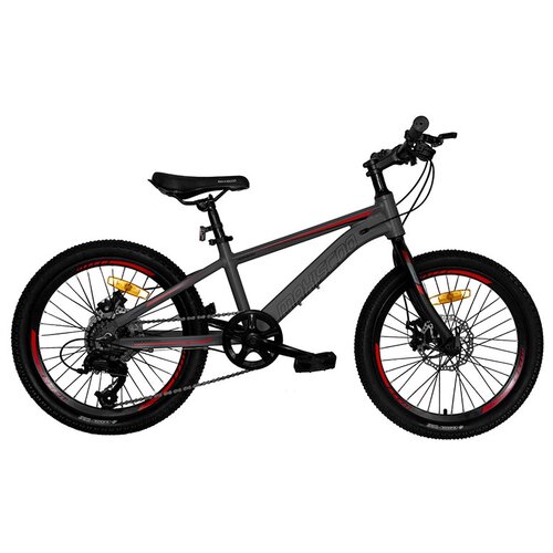 Maxiscoo Horizon 20 7Ск 2022 Цвет серый матовый 1758000₽