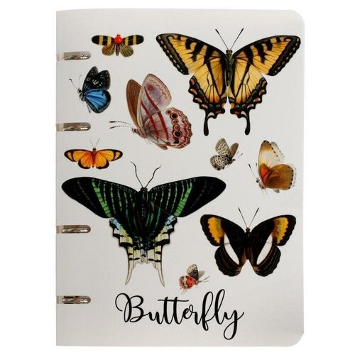 фото Тетрадь на 4- х кольцах а5, 80 листов в клетку butterfly, пластиковая обложка, блок офсет qwen