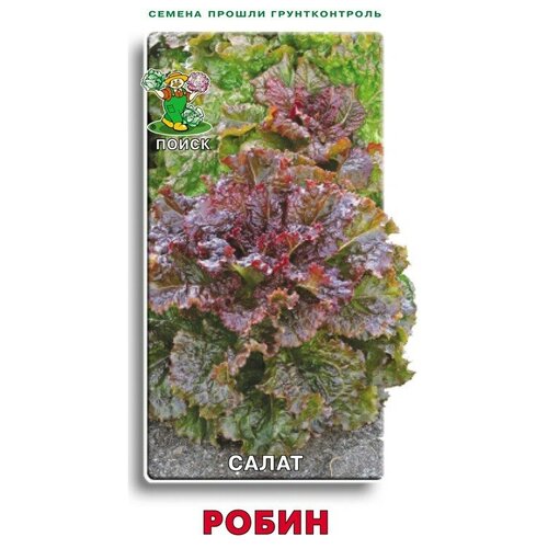 Салат Робин салат робин 420 семян