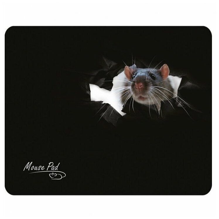 Коврик для мыши Dialog PM-H15 черный - фото №12
