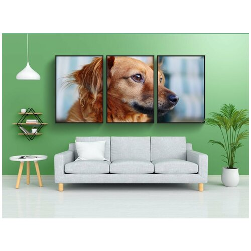 фото Набор модулных постеров для интерьера "собака, милый, животное" 60x90 см. в тубусе, без рамки lotsprints