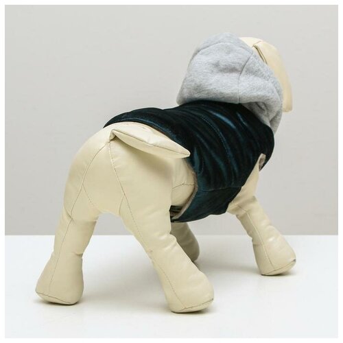 Куртка для собак Cocoa honey зимняя, XS, (ОШ 18-22, ОГ 27-32, ДС 20 см), синяя