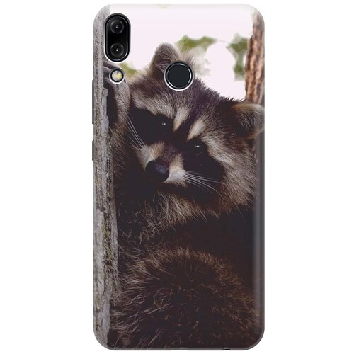 фото Силиконовый чехол на asus zenfone 5z (zs620kl) / асус зенфон 5 зет с принтом "енотик" gosso