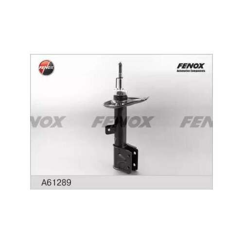 FENOX FENOX Амортизатор подвески FENOX A61289