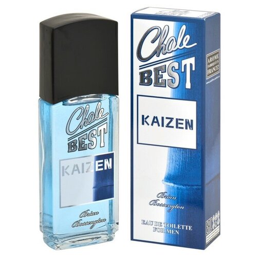 Positive Parfum men (brian Bossengton) Chale Best - Kaizen Туалетная вода 95 мл.