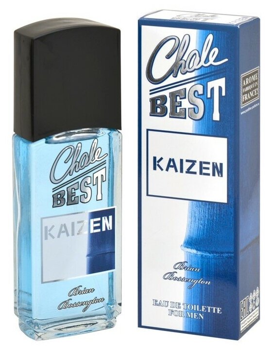 Positive Parfum men (brian Bossengton) Chale Best - Kaizen Туалетная вода 95 мл.