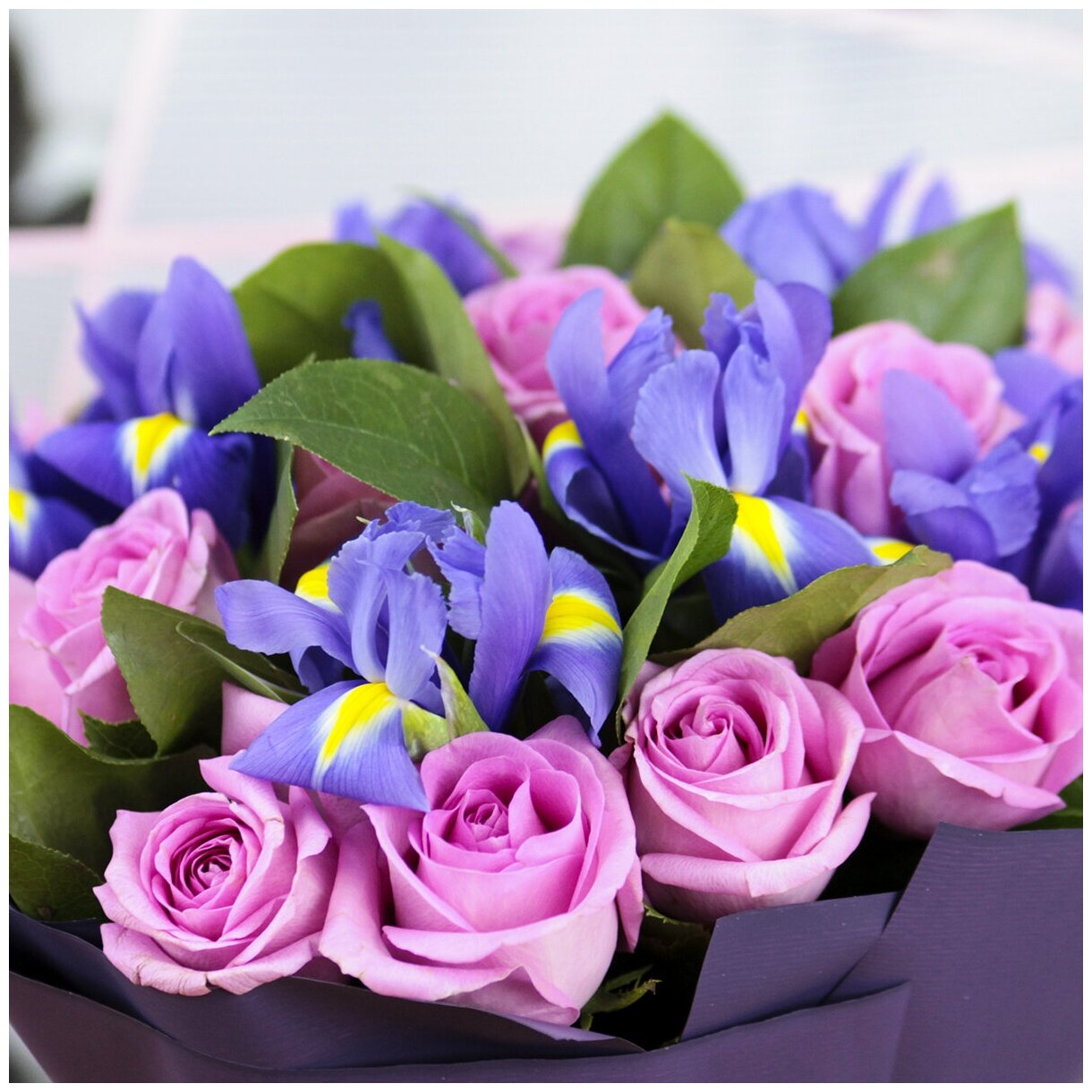 Букет Розовых роз и Синих ирисов Normal