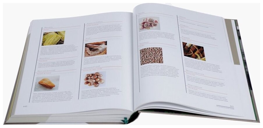 Большая кулинарная книга. Овощи и паста - фото №3