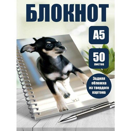 Блокнот в точку собачки Чихуахуа