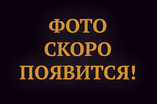 Изображение товара Душевая стойка Grocenberg GB502BG, покрытие латунь, цвет графит