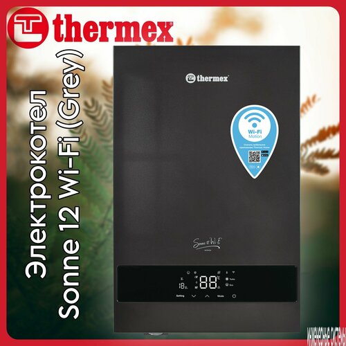 Электрический настенный котел THERMEX Sonne 12 Wi-Fi Grey 54636₽