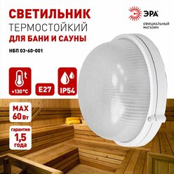 Светильник настенный ЖКХ уличный влагозащищённый ЭРА НБП 03-60-001 Акватермо E27 / Е27 IP54, 60Вт, D176 мм
