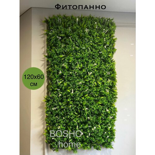 Фитостена из декоративной туи, коврик из туи, модульная трава туя