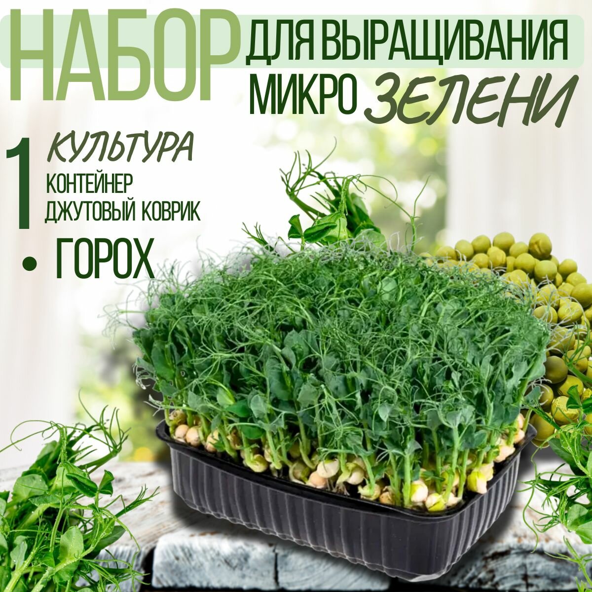 Набор для выращивания микрозелени гороха, полутень/солнце, однолетний, 45г