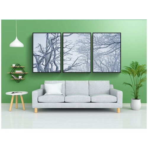 фото Набор модулных постеров для интерьера "снежный цветок, зима, снег" 60x90 см. в тубусе, без рамки lotsprints