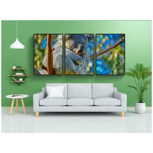 фото Набор модулных постеров для интерьера "коала, животное, австралия" 60x90 см. в тубусе, без рамки lotsprints