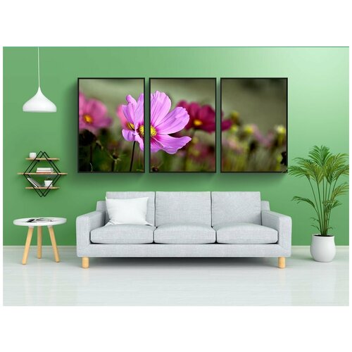 фото Набор модулных постеров для интерьера "садовые цветы, космос, онентек" 60x90 см. в тубусе, без рамки lotsprints