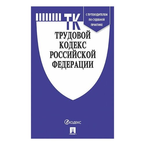 Кодекс РФ трудовой, мягкий переплёт, 127539