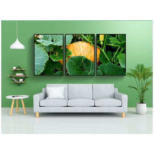 фото Набор модулных постеров для интерьера "овощи, сад, тыква" 60x90 см. в тубусе, без рамки lotsprints