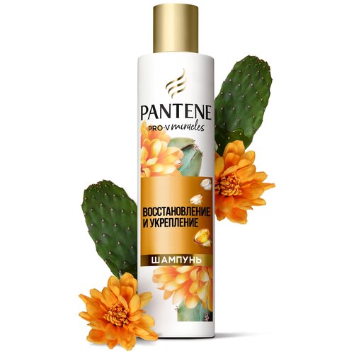 Pantene Pro-V Miracles шампунь восстановление и укрепление для защиты волос от повреждений, 250 мл