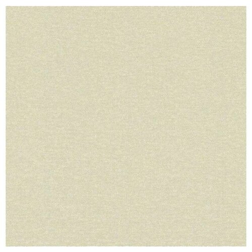 Обои Rasch Maximum 13 936216 винил на флизелине ширина 106 длинна 10,05, Германия