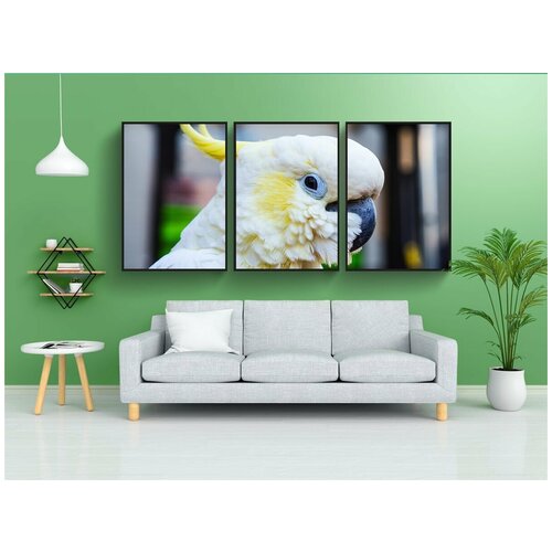 фото Набор модулных постеров для интерьера "попугай, какаду, птица" 60x90 см. в тубусе, без рамки lotsprints