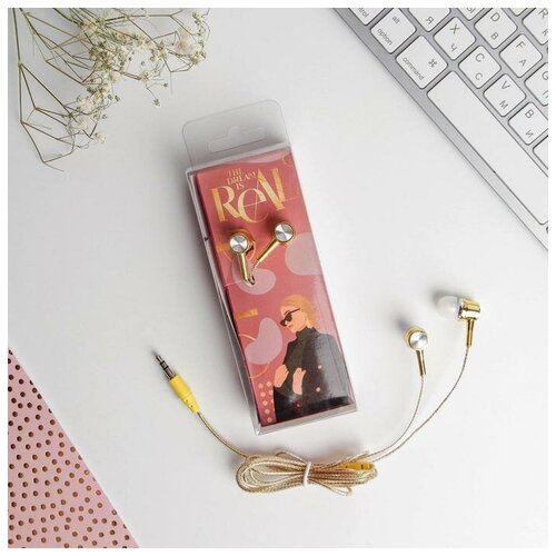 Наушники проводные в коробке The dream is real вакуумные 135 х 52 см 26700₽