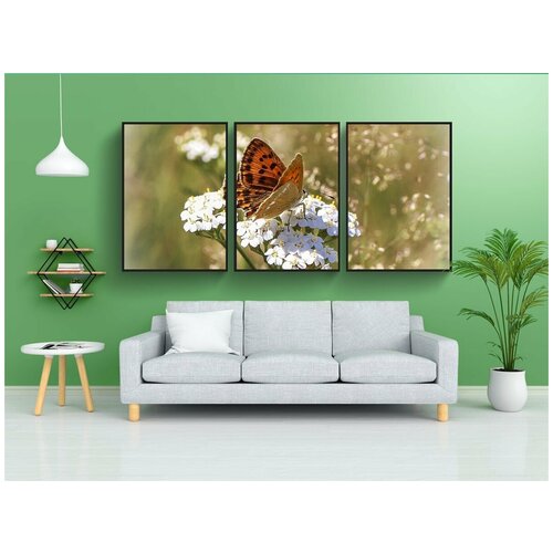 фото Набор модулных постеров для интерьера "бабочка, цветы, опылять" 60x90 см. в тубусе, без рамки lotsprints