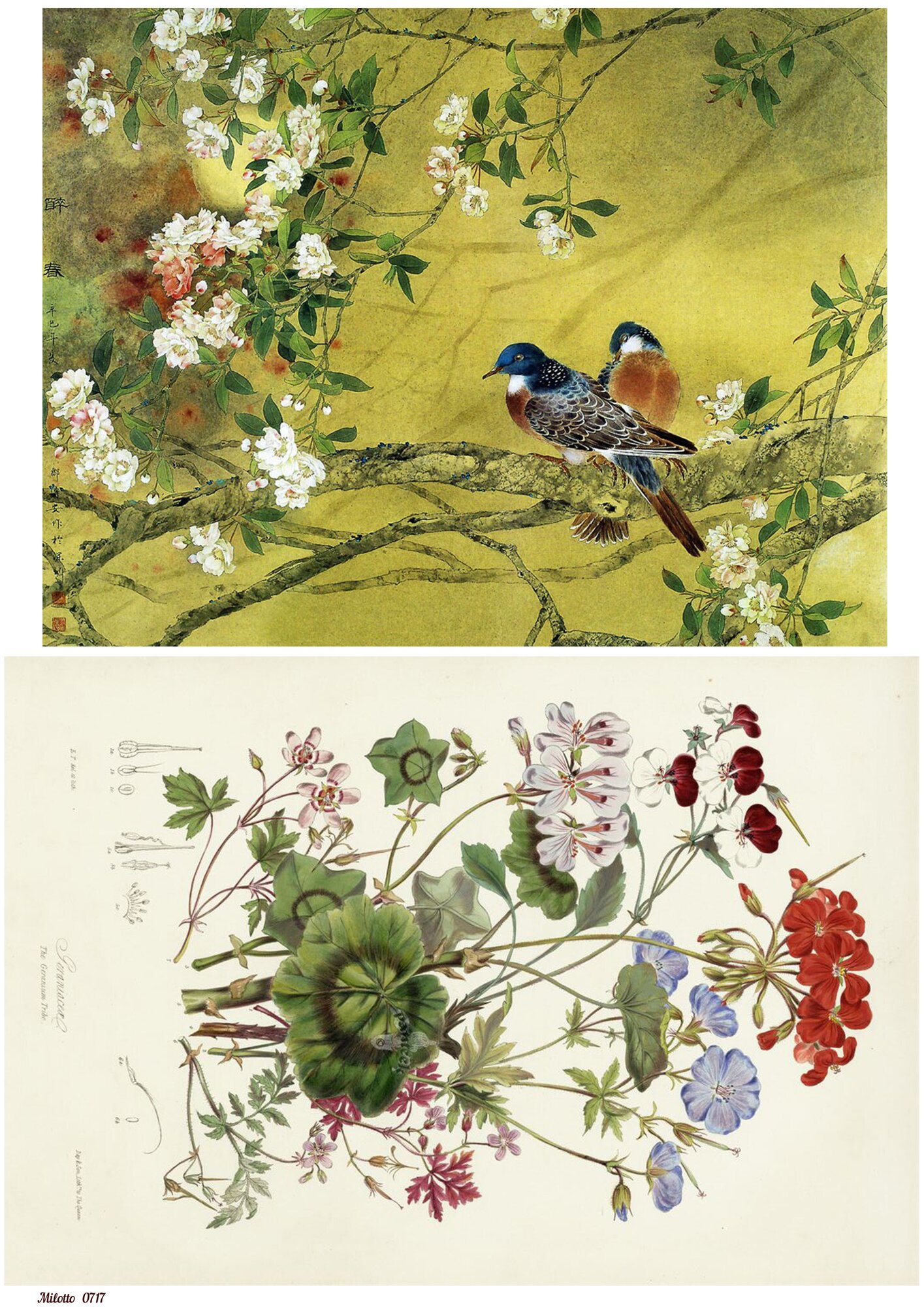 Рисовая бумага для декупажа А4 ультратонкая салфетка 0717 птицы природа цветы винтаж крафт Milotto