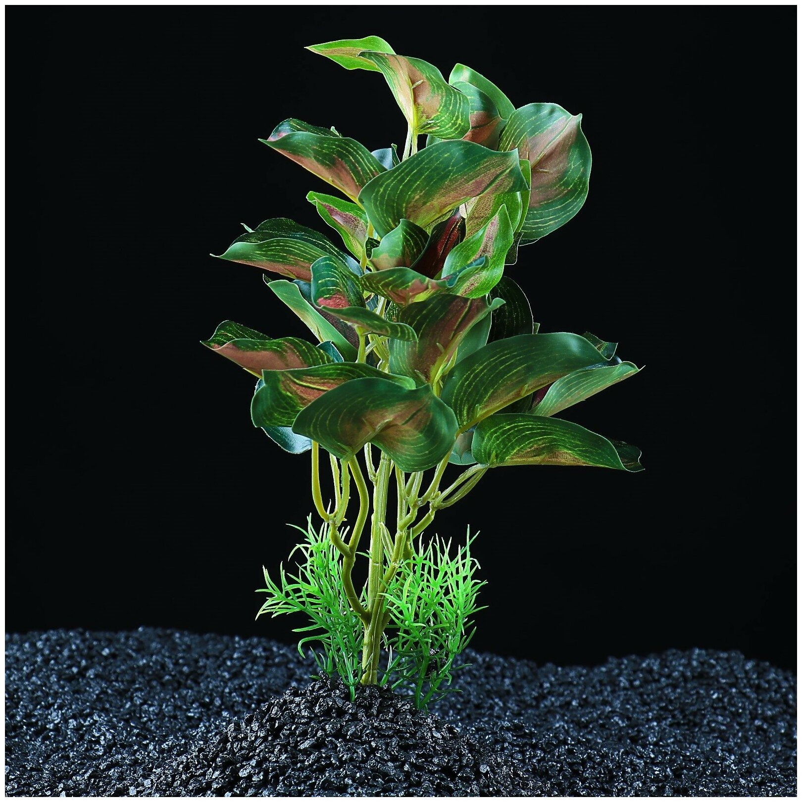 Пижон Аква Растение аквариумное "в горшочке", 31 х 23 х 19 см - фотография № 1
