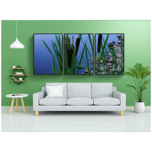 фото Набор модулных постеров для интерьера "камыш, тиф, коричневое соцветие" 60x90 см. в тубусе, без рамки lotsprints