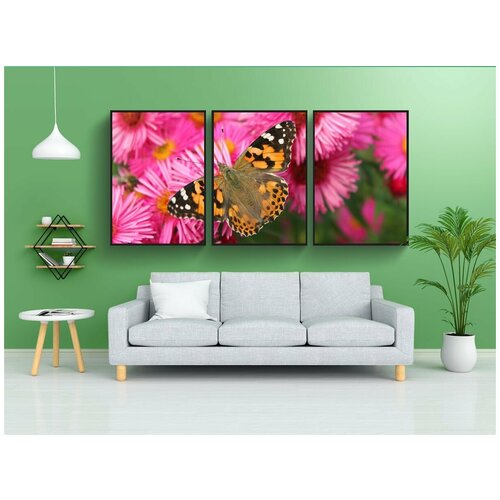 фото Набор модулных постеров для интерьера "бабочка, бабочки, адмирал" 60x90 см. в тубусе, без рамки lotsprints