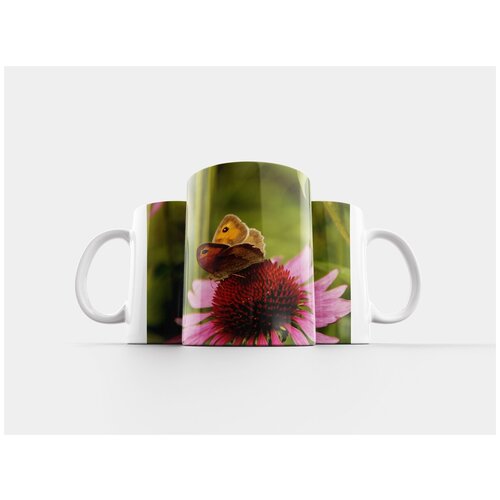 фото Кружка "эхинацея, эхинацеи, цвести" 320 мл lotsprints