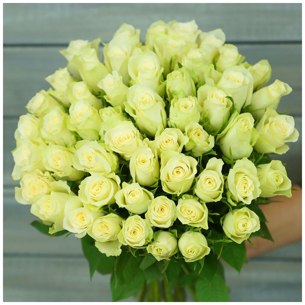 Букет живых цветов из 51 белой розы с лентой 40см.