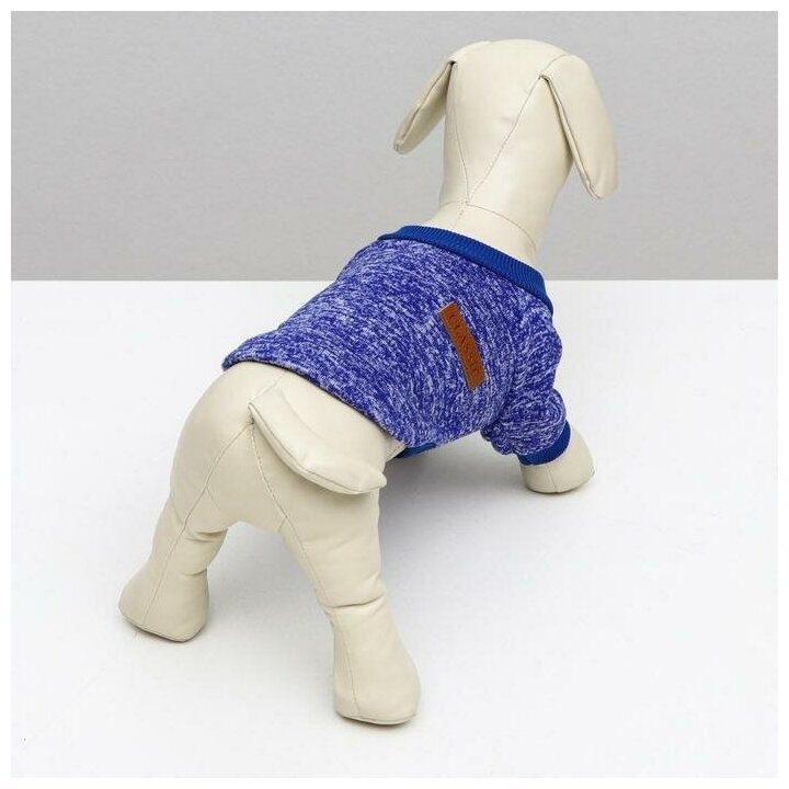 Свитер для собак КНР меланжевый, размер XL, спинка 34, шея 32, грудь 50 см, синий (GG-1) - фотография № 12