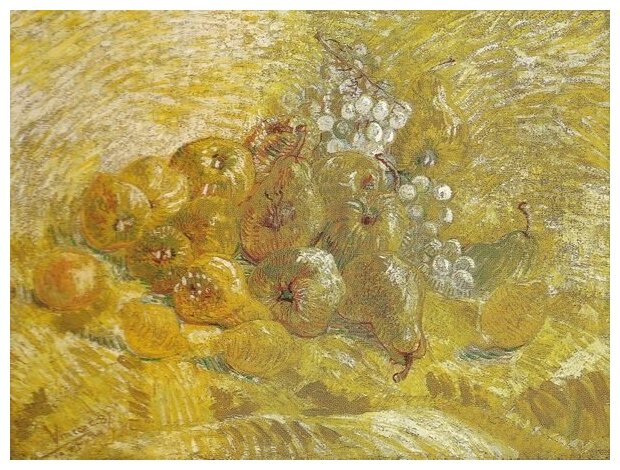 Репродукция на холсте Натюрморт с Айва и лимонами (Still Life with Quinces and Lemons) Ван Гог Винсент 67см. x 50см.